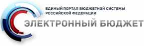 Электронный бюджет